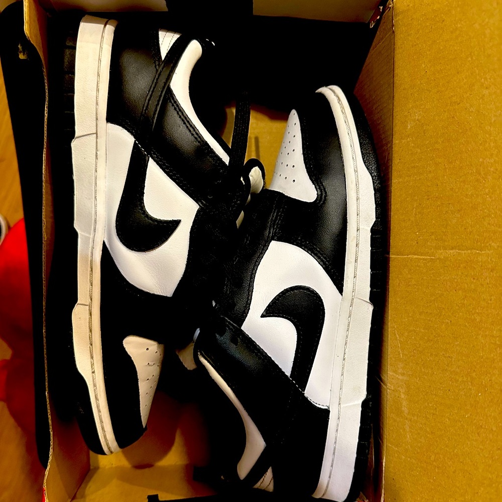 Panda dunks new in box